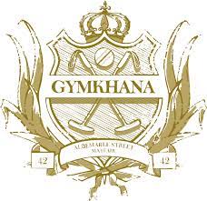 Gymkhana project